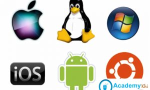 Operating System Introduction